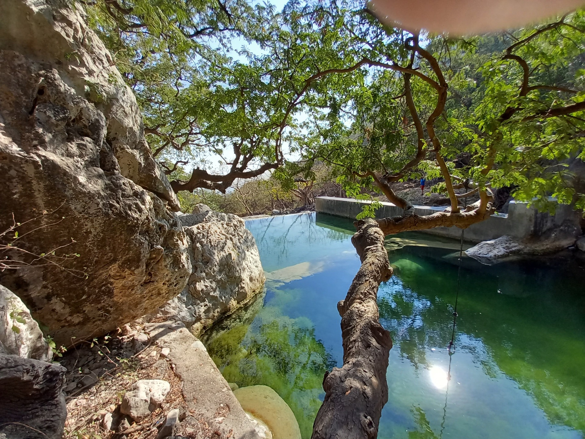 Přírodní jezírko ve Wadi Hinna u Salalah s průzračnou vodou a vzrostlými stromy nad bazénem.