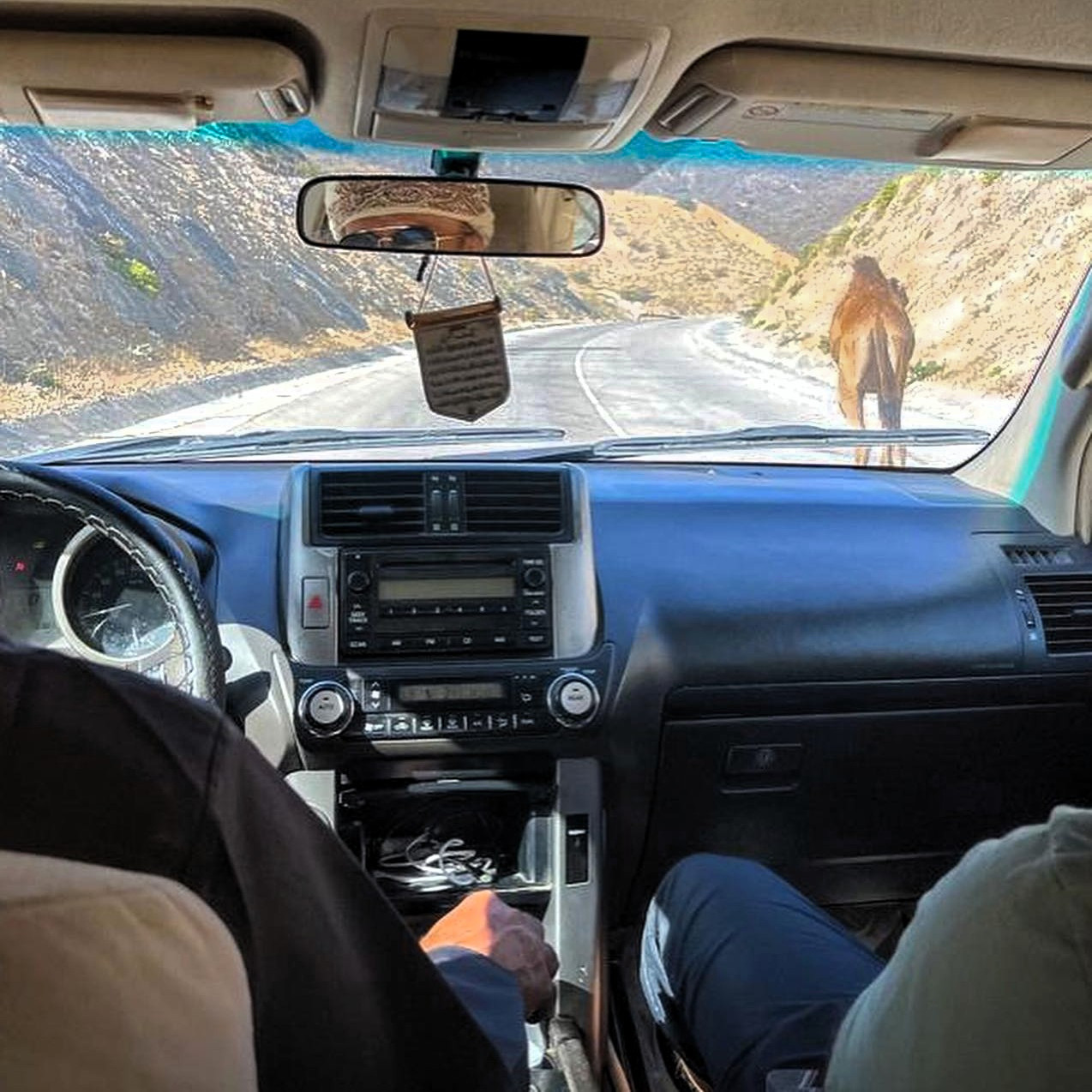 Pohled z kabiny auta na velbloudy na silnici Zig Zag road v Ománu nedaleko Salalah.
