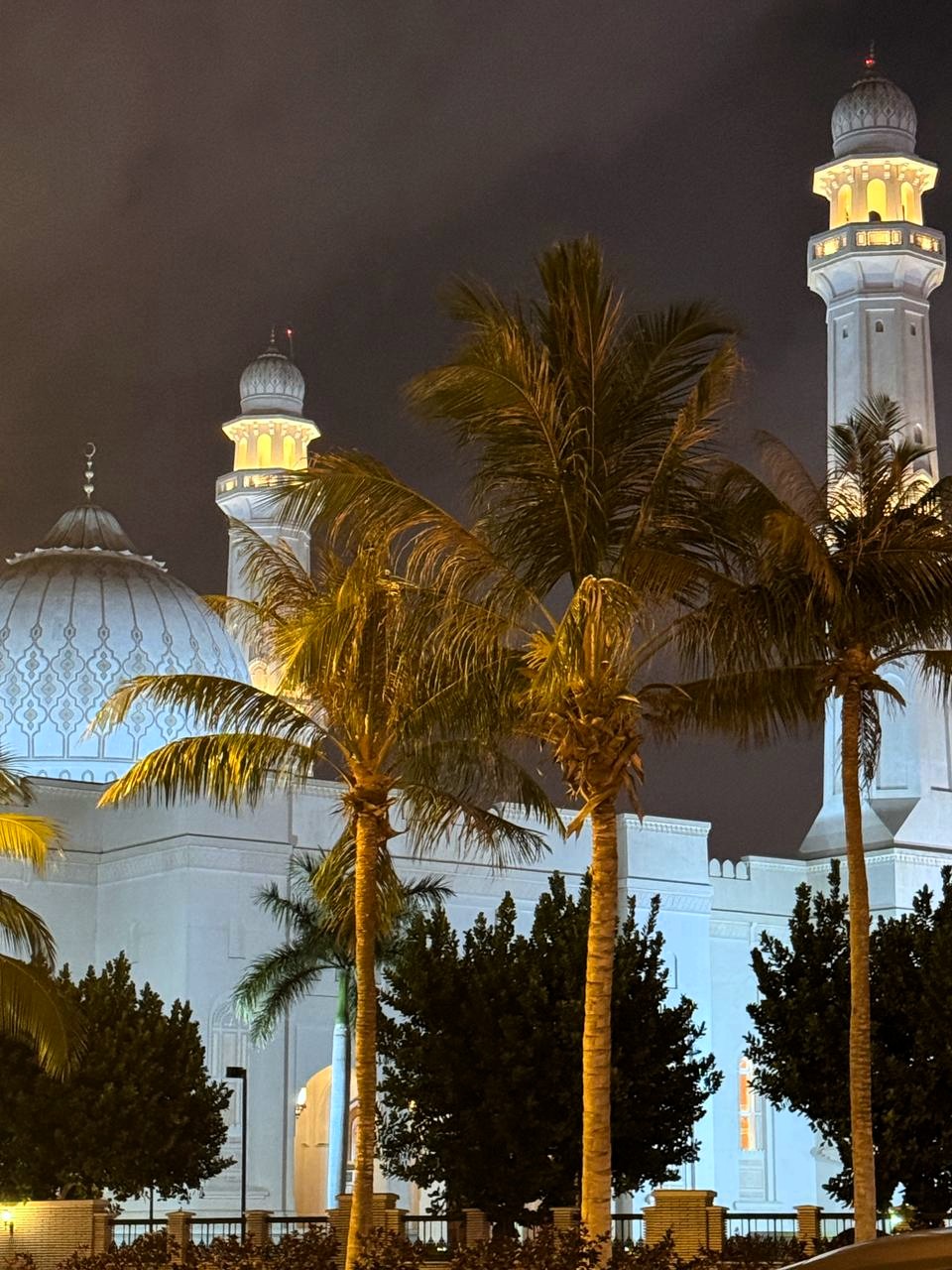 Noční pohled na bílé minarety mešity sultána Kábúse v Salalah s osvětlenými kupolemi, palmy a tmavou oblohou.