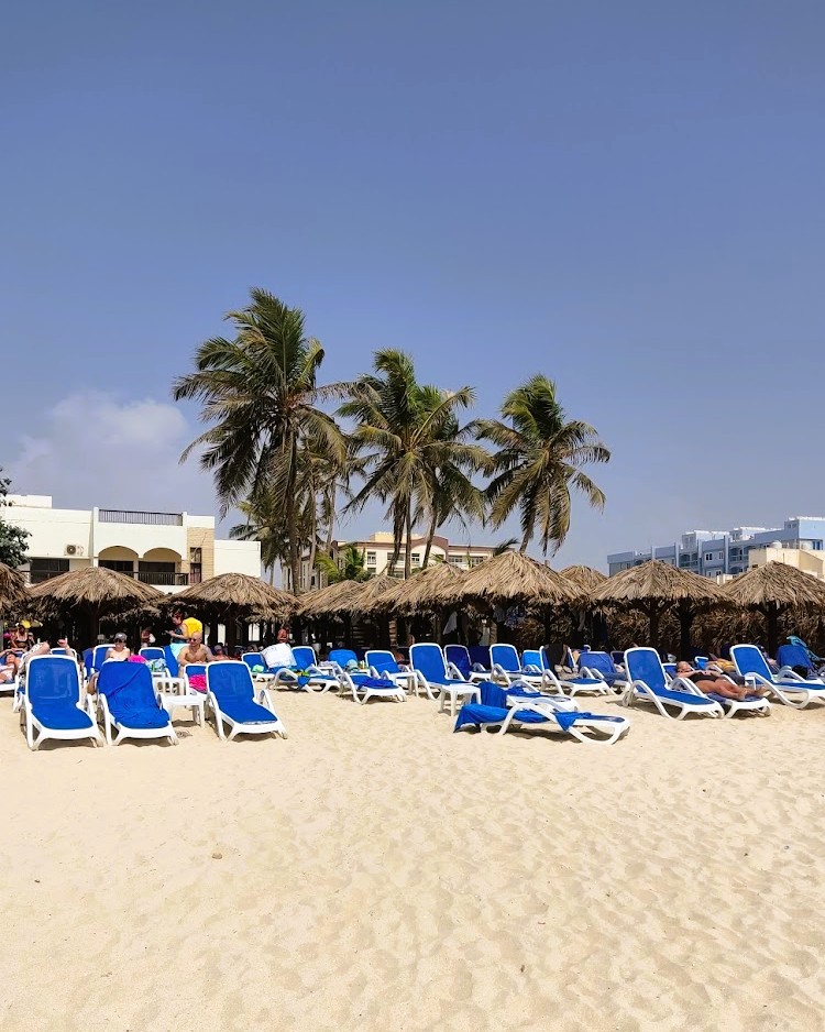 Písečná pláž hotelu Millennium resort v Salalah s řadou modrobílých lehátek, slunečníky z palmových listů a palmami pod modrou oblohou.